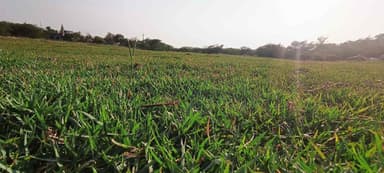 गटाडवाडी क्रिकेट मैदान